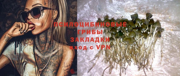 прущая мука Алзамай