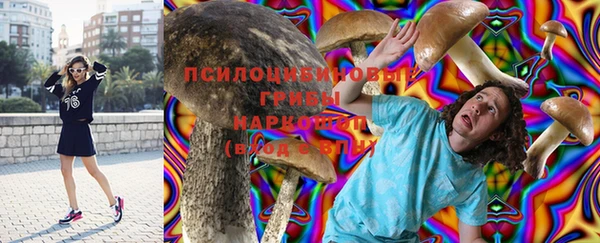 прущая мука Алзамай