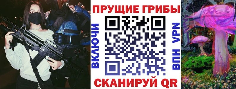 Псилоцибиновые грибы Cubensis  где продают наркотики  Хадыженск 